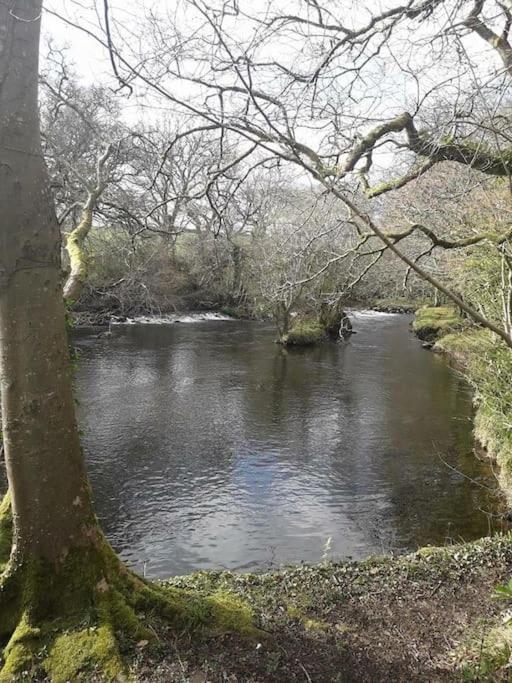 Stunning 3 Bed Riverside Cabin In Snowdonia Caeathro 外观 照片